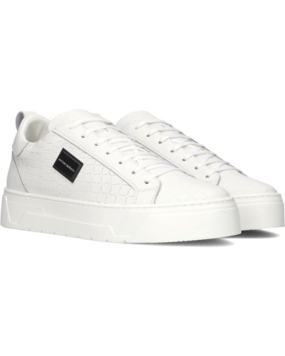 Tenisice muške ANTONY MORATO