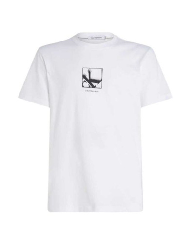 Majica muška CALVIN KLEIN